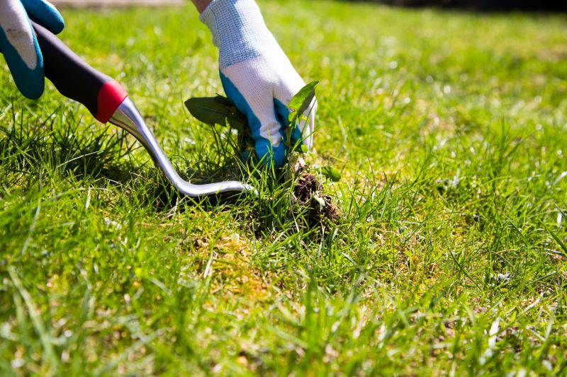 Garden Weed Pulling