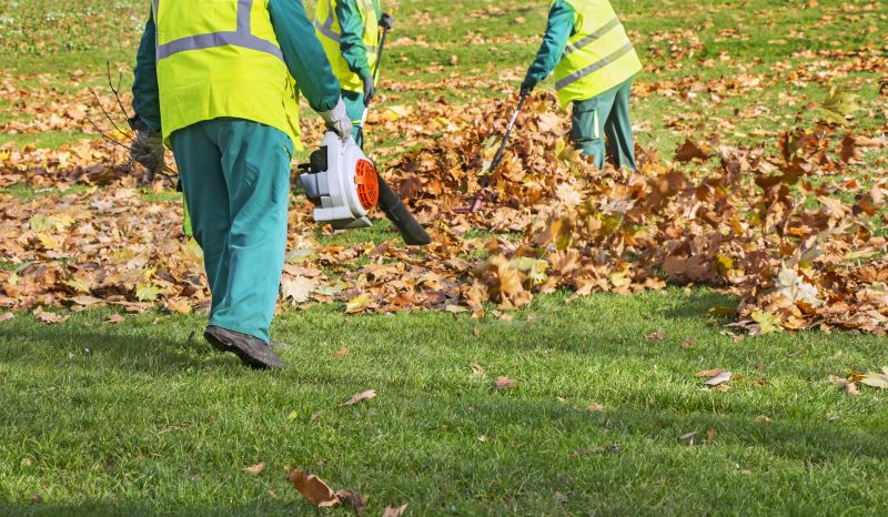 Fall Yard Cleanup Crew