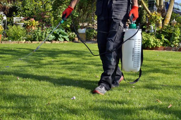 Organic Weed Control - Organic Weed Control Fort Lauderdale, Florida